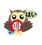 フクロウde日本語toハングル（個別スタンプ：14）