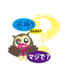 フクロウde日本語toハングル（個別スタンプ：16）