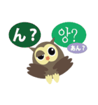 フクロウde日本語toハングル（個別スタンプ：35）