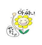 ひまわりトミーの韓国語。～喜怒哀楽～（個別スタンプ：2）