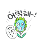 ひまわりトミーの韓国語。～喜怒哀楽～（個別スタンプ：34）