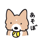 使える！忠犬ボーダーコリー（個別スタンプ：11）