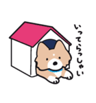 使える！忠犬ボーダーコリー（個別スタンプ：17）