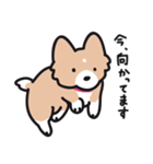 使える！忠犬ボーダーコリー（個別スタンプ：23）