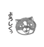 丸顔の猫（個別スタンプ：1）