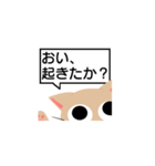 ちゃちゃんスタンプ（個別スタンプ：3）