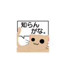 ちゃちゃんスタンプ（個別スタンプ：24）