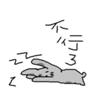 Tobaobao rabbit（個別スタンプ：31）