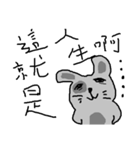 Tobaobao rabbit（個別スタンプ：35）