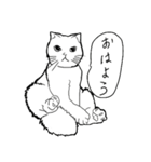 すんばらごいモノクロ猫 第二章（個別スタンプ：1）