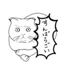 すんばらごいモノクロ猫 第二章（個別スタンプ：5）