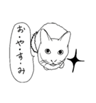 すんばらごいモノクロ猫 第二章（個別スタンプ：9）