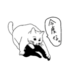 すんばらごいモノクロ猫 第二章（個別スタンプ：37）