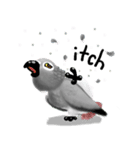 SoftParrots (African Greys)（個別スタンプ：4）