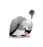 SoftParrots (African Greys)（個別スタンプ：8）