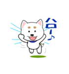 ミックス犬「シロウ」（個別スタンプ：1）