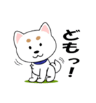 ミックス犬「シロウ」（個別スタンプ：2）