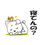 ミックス犬「シロウ」（個別スタンプ：3）