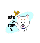 ミックス犬「シロウ」（個別スタンプ：4）