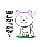 ミックス犬「シロウ」（個別スタンプ：39）