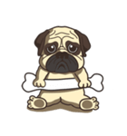 Warning security dog_Bulldog LA LA（個別スタンプ：4）