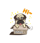 Warning security dog_Bulldog LA LA（個別スタンプ：7）