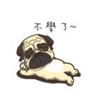 Warning security dog_Bulldog LA LA（個別スタンプ：8）