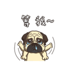 Warning security dog_Bulldog LA LA（個別スタンプ：17）