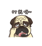 Warning security dog_Bulldog LA LA（個別スタンプ：32）