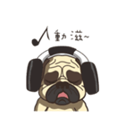 Warning security dog_Bulldog LA LA（個別スタンプ：38）