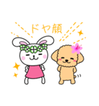 きたぞの薬局 キャラクタースタンプ（個別スタンプ：16）