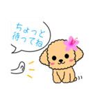 きたぞの薬局 キャラクタースタンプ（個別スタンプ：24）