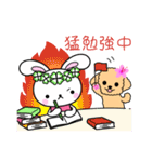 きたぞの薬局 キャラクタースタンプ（個別スタンプ：37）