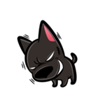 Taiwan black Dog（個別スタンプ：4）