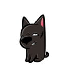 Taiwan black Dog（個別スタンプ：16）