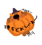 かぼちゃネコ【ハロウィン】（個別スタンプ：14）