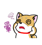 Shiba Inu_Q（個別スタンプ：3）