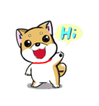 Shiba Inu_Q（個別スタンプ：5）