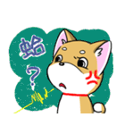 Shiba Inu_Q（個別スタンプ：6）