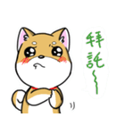 Shiba Inu_Q（個別スタンプ：7）