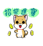 Shiba Inu_Q（個別スタンプ：9）