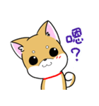 Shiba Inu_Q（個別スタンプ：10）