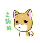 Shiba Inu_Q（個別スタンプ：13）