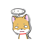 Shiba Inu_Q（個別スタンプ：17）