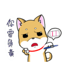 Shiba Inu_Q（個別スタンプ：18）