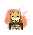 Shiba Inu_Q（個別スタンプ：19）