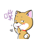 Shiba Inu_Q（個別スタンプ：23）