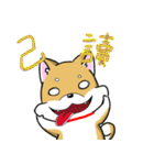 Shiba Inu_Q（個別スタンプ：26）