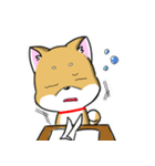 Shiba Inu_Q（個別スタンプ：30）