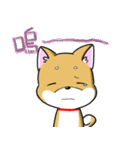 Shiba Inu_Q（個別スタンプ：32）